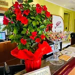 Otel Park 3*