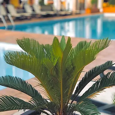 Hotel Park Peschiera del Garda